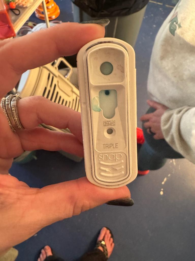 Cleo, Adoptable, Young Female Domestic Short Hair.