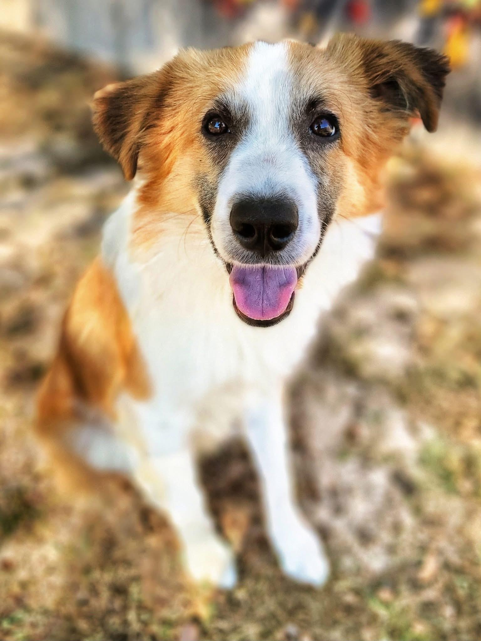 Cal