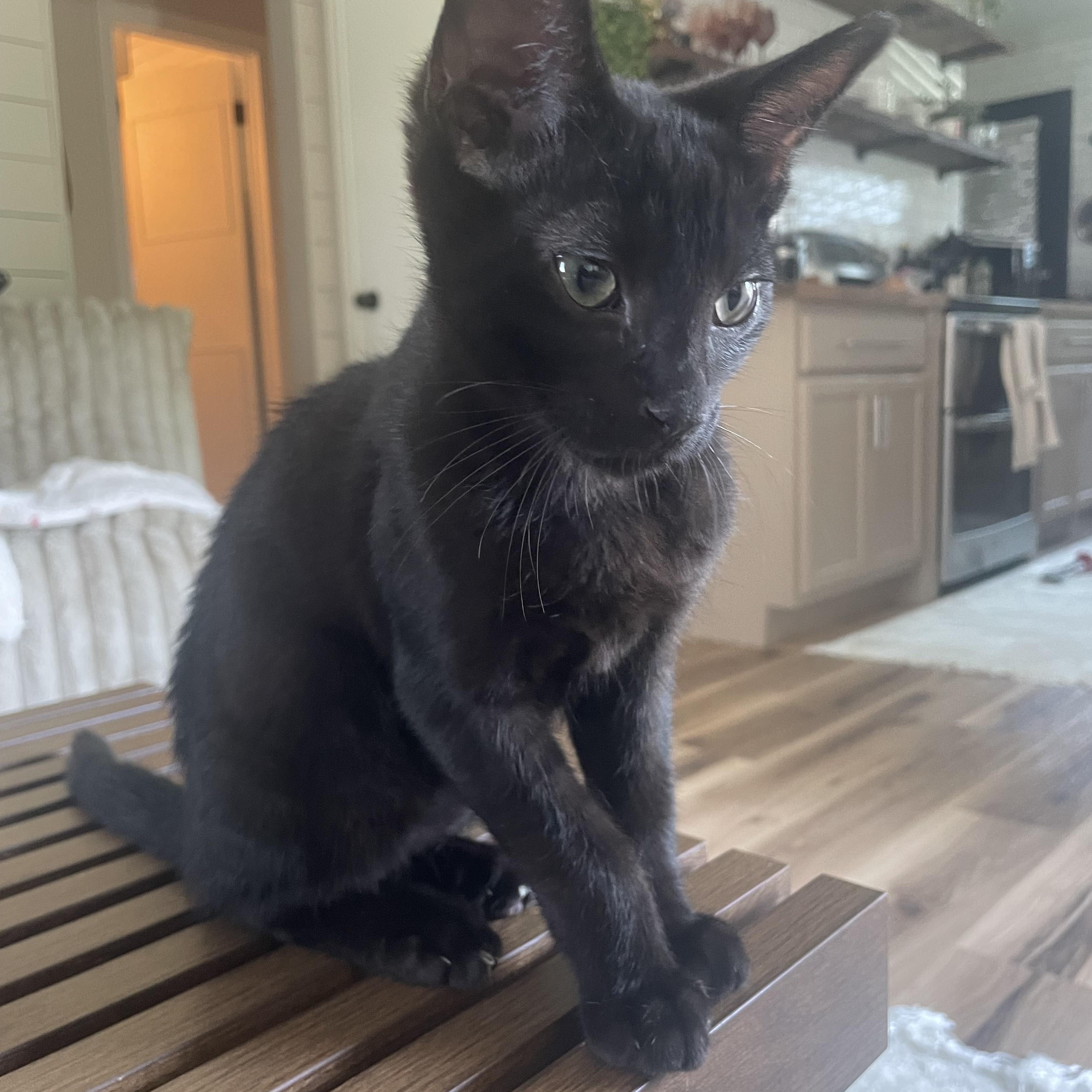 Percy