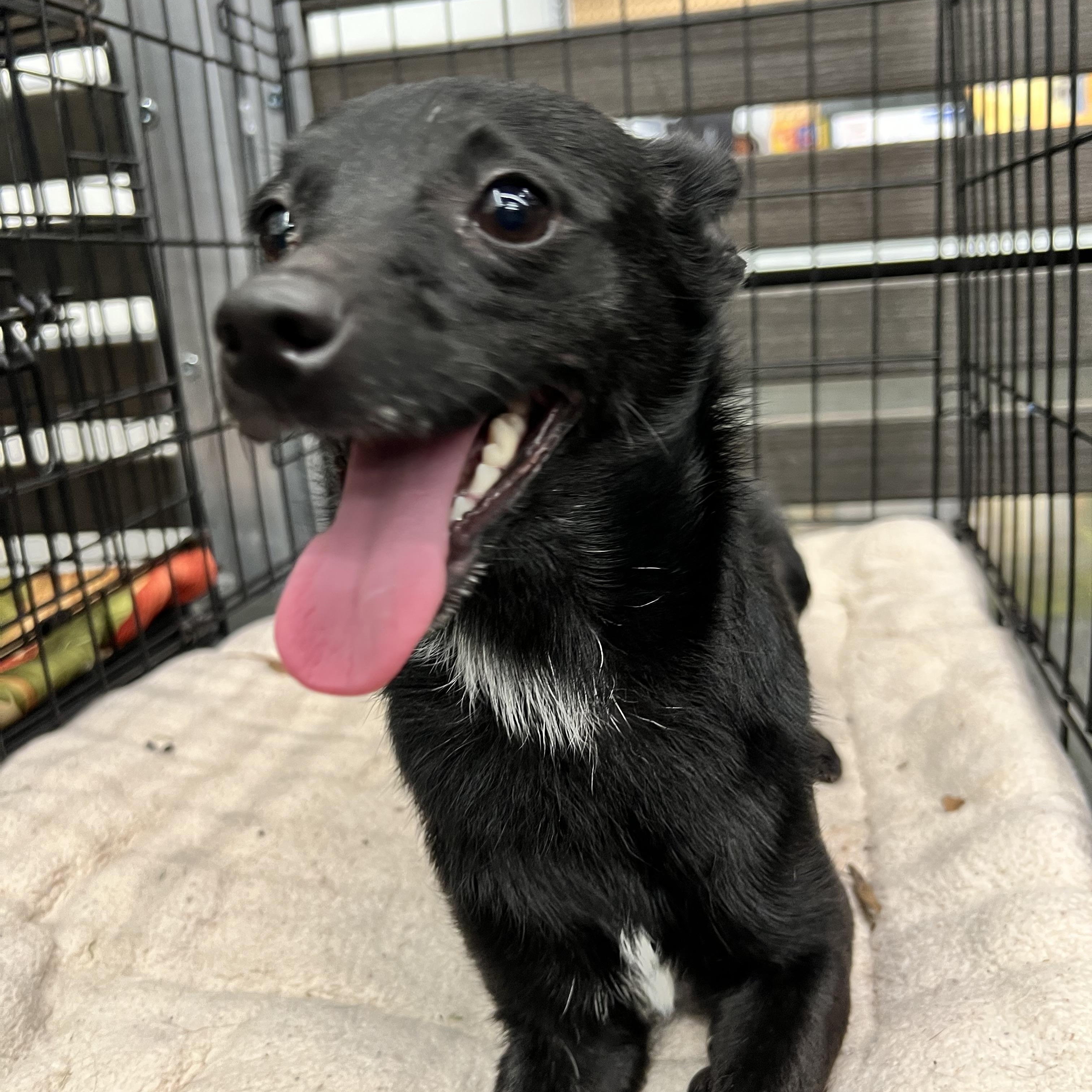 Midnight thumbnail 2