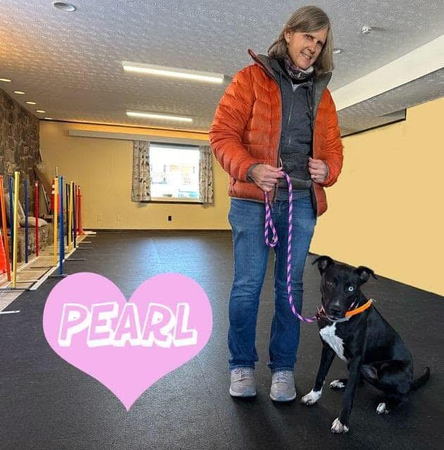 Enlarge Pearl, a Adoptable mixed breed in Maryville, TN image 6/6