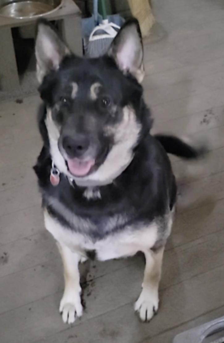 Bronagh — thumbnail 2