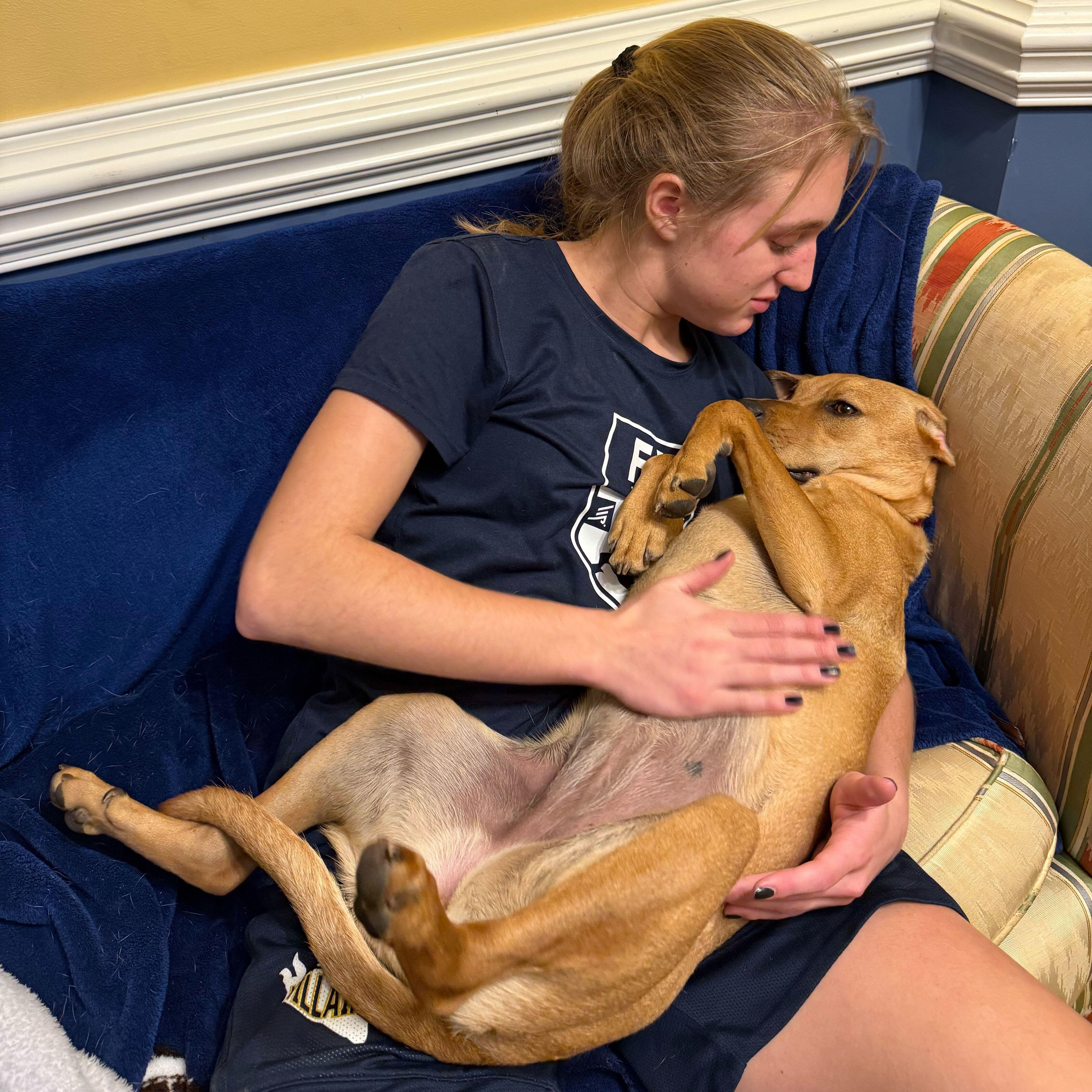 Enlarge Marnie, an adoptable Mixed Breed in Greensboro, NC image 2/6