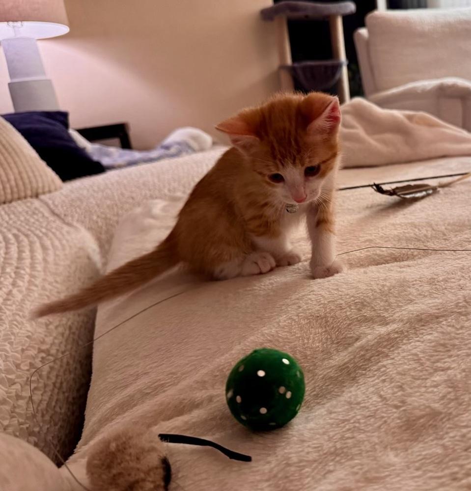 Colby — thumbnail 2