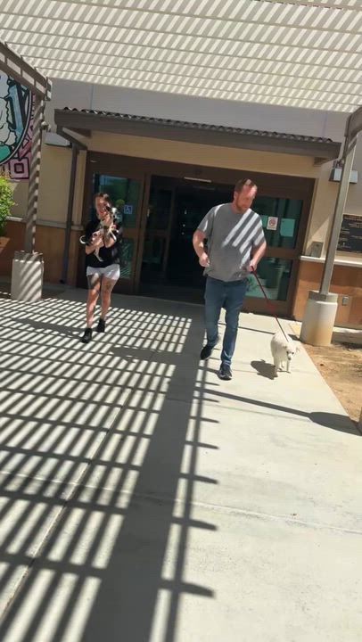 Enlarge Tiara, a ADOPTABLE mixed breed in San Diego, CA video 6/6