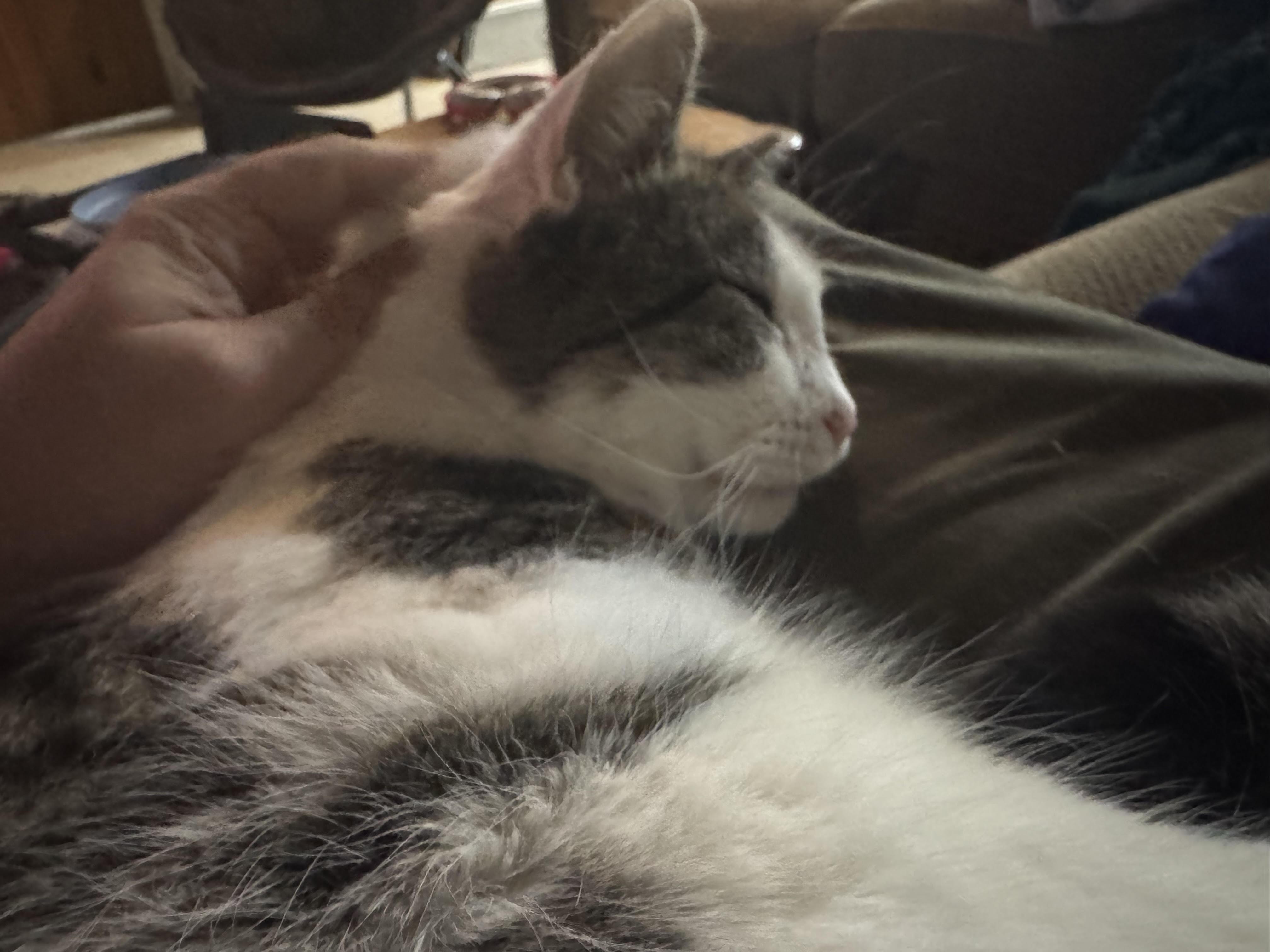 Dustin (FCID# 12/03/2025 - 152) 2
