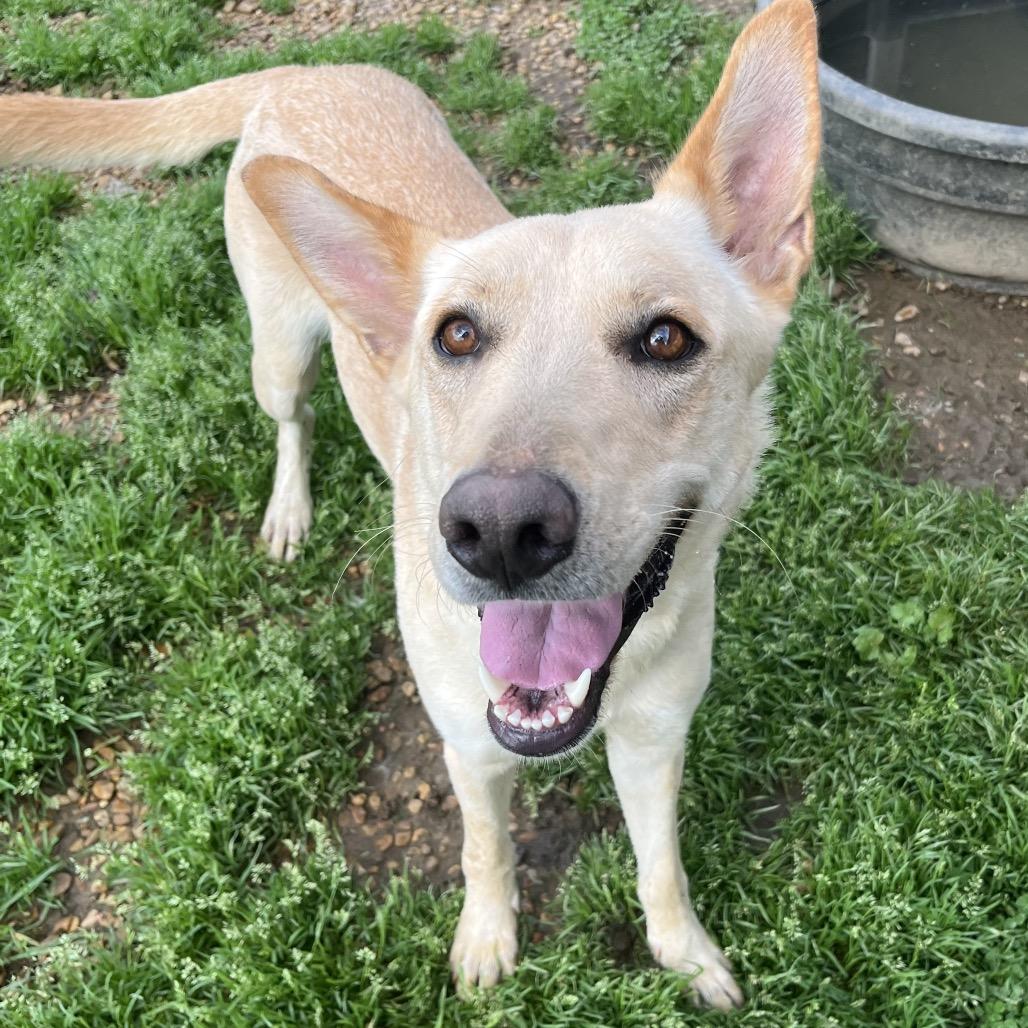 Kaya — thumbnail 3