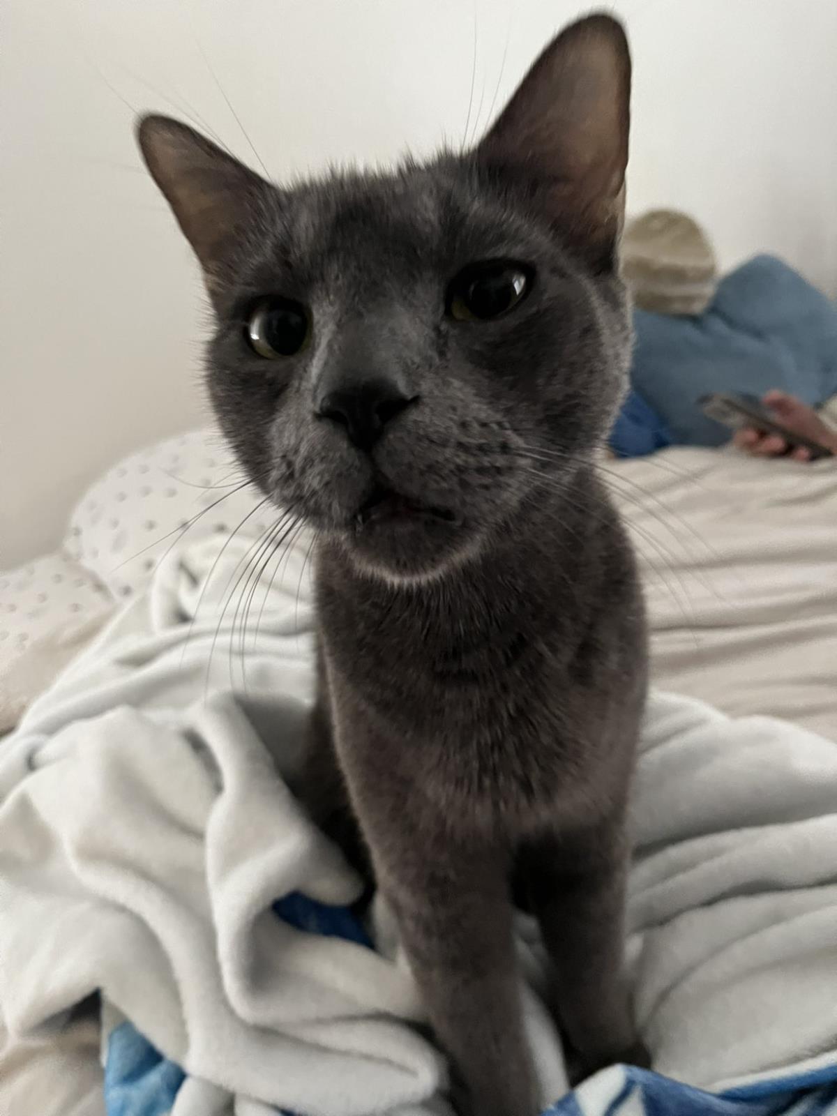 Mauricio Cancun thumbnail 2