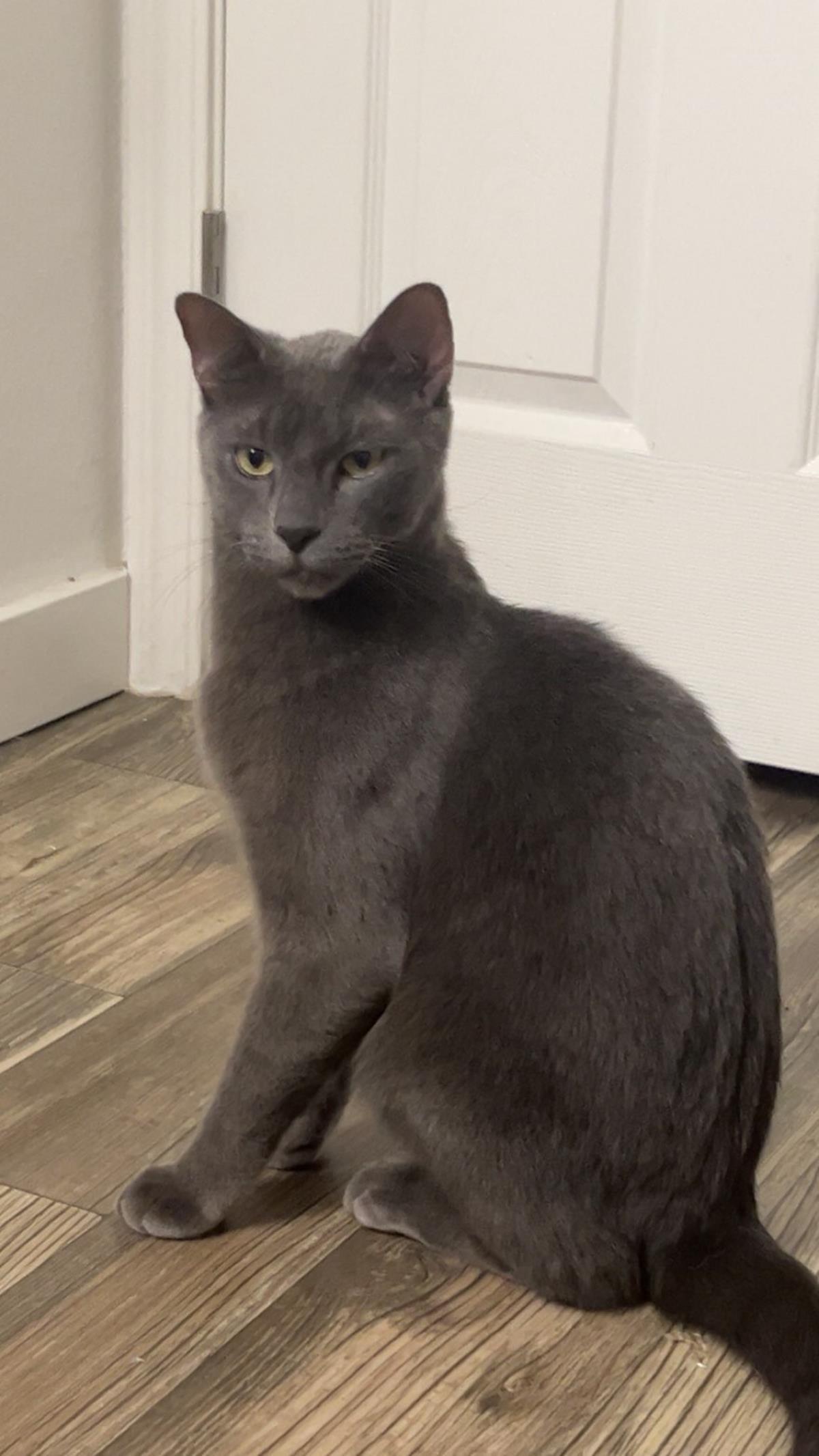 Mauricio Cancun thumbnail 3