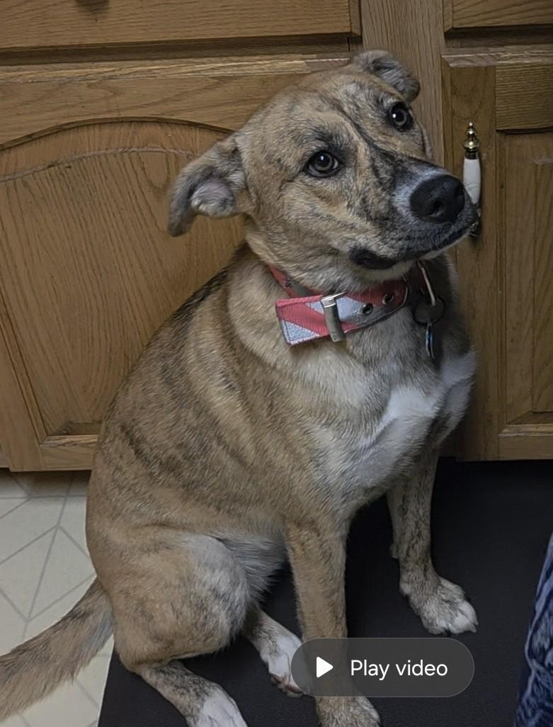 Ellie Mae *COURTESY POST*