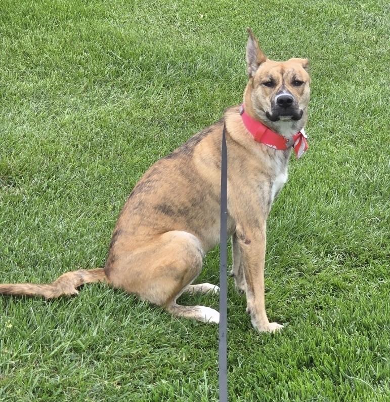 Ellie Mae *COURTESY POST*