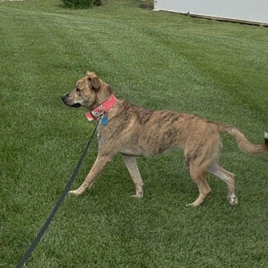 Ellie Mae *COURTESY POST*