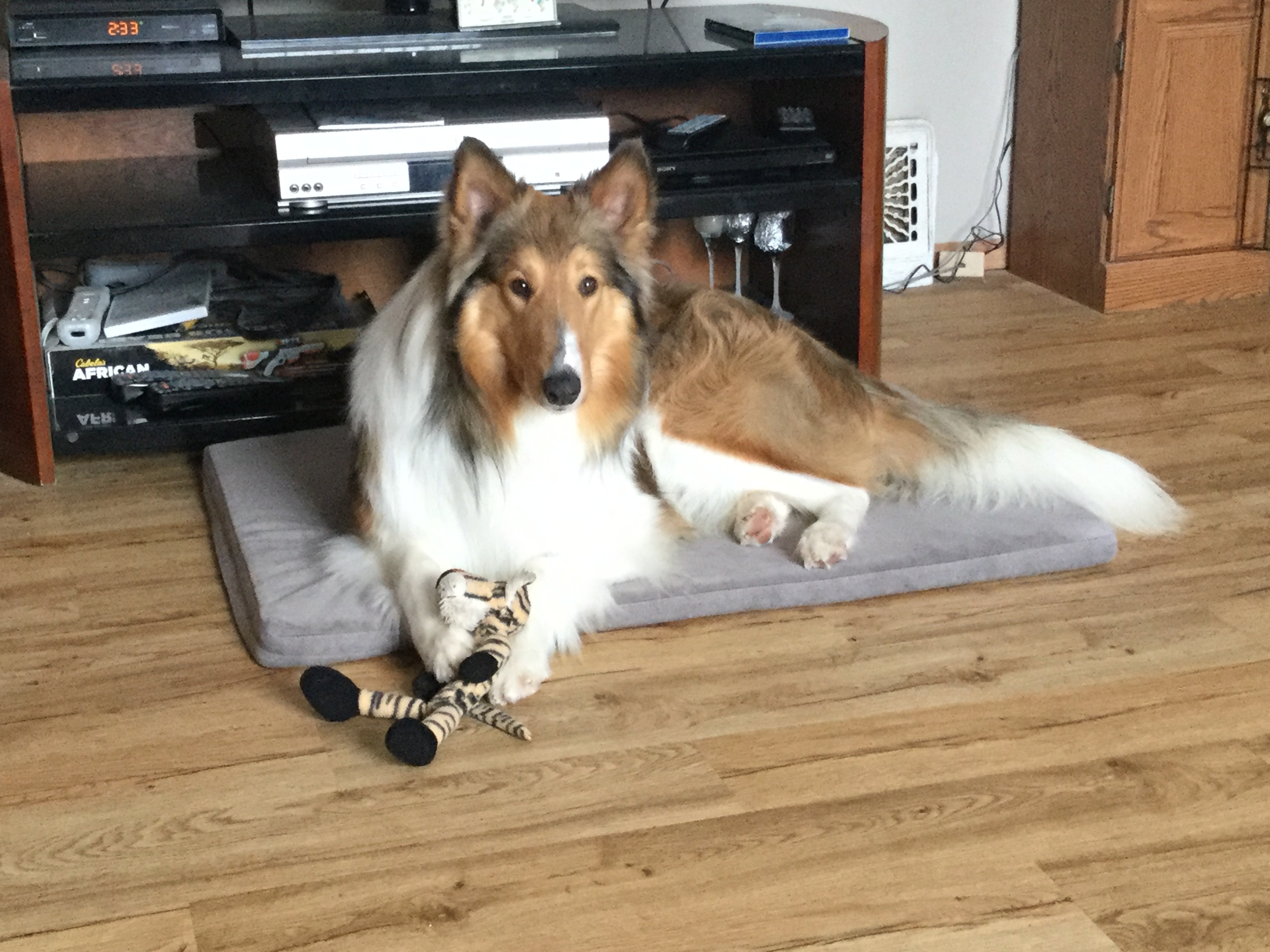 Tucker photo 3