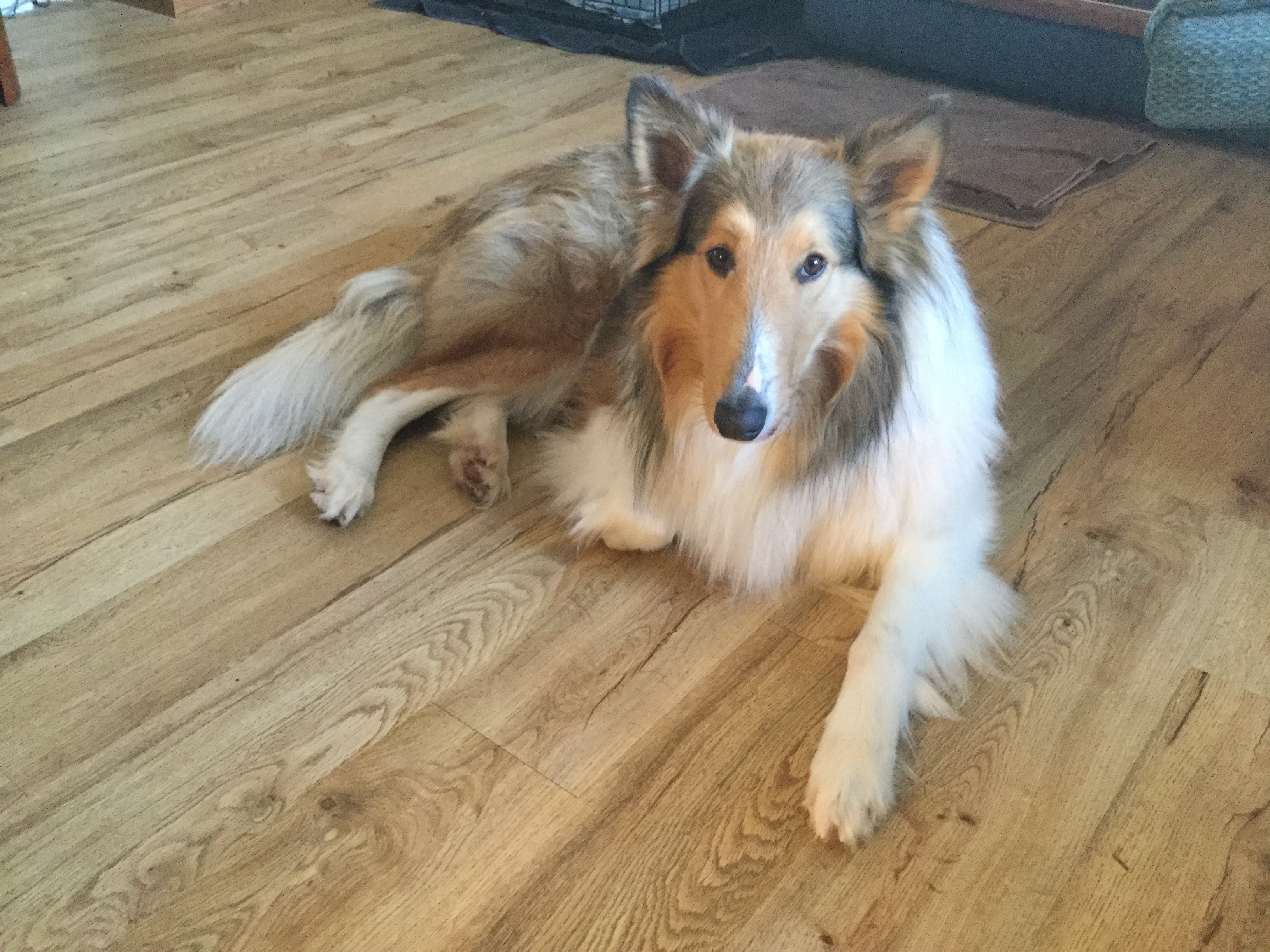 Tucker photo 2