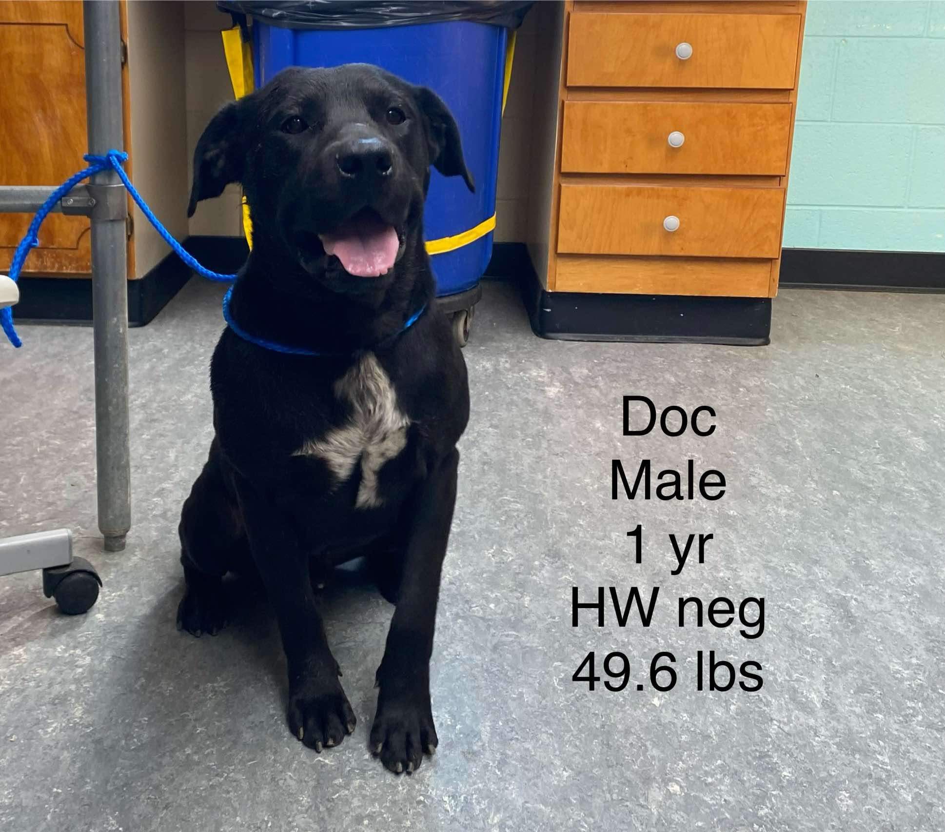 Doc photo 2