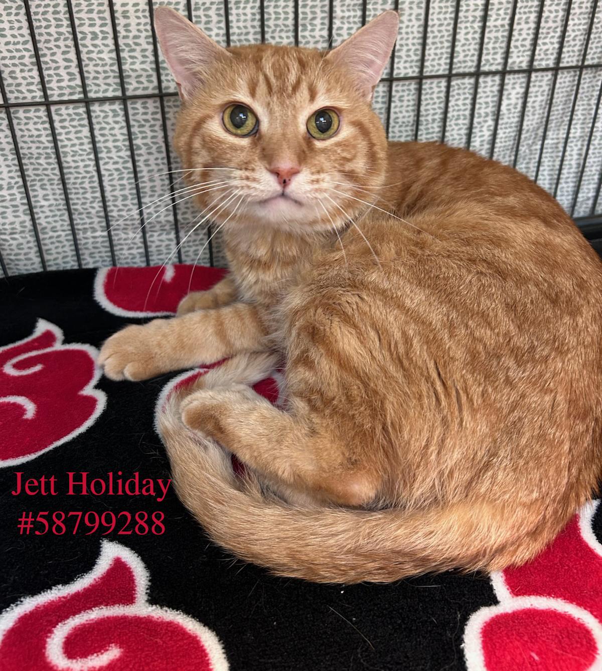 Jett Holiday