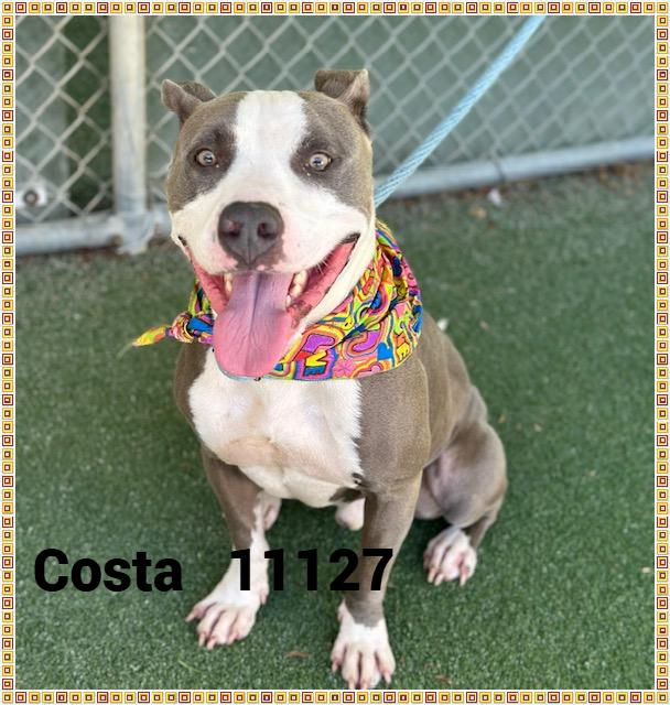 COSTA