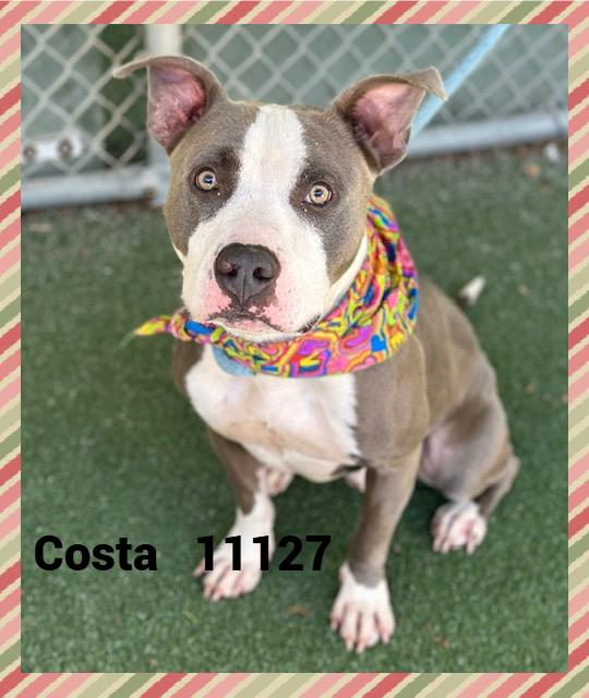 COSTA