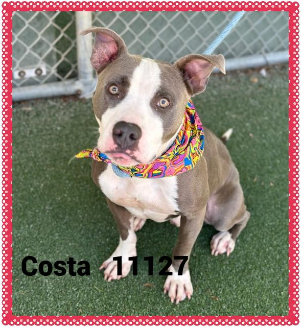 COSTA