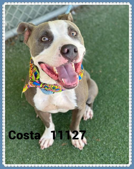 COSTA