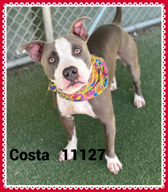 COSTA