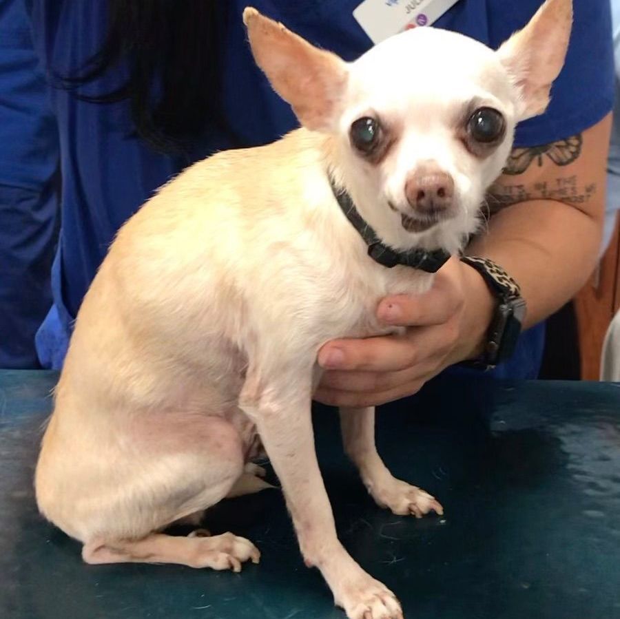 Lucky — thumbnail 2