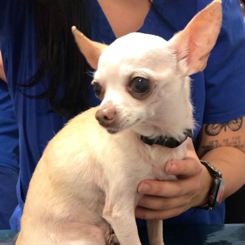 Lucky — thumbnail 3