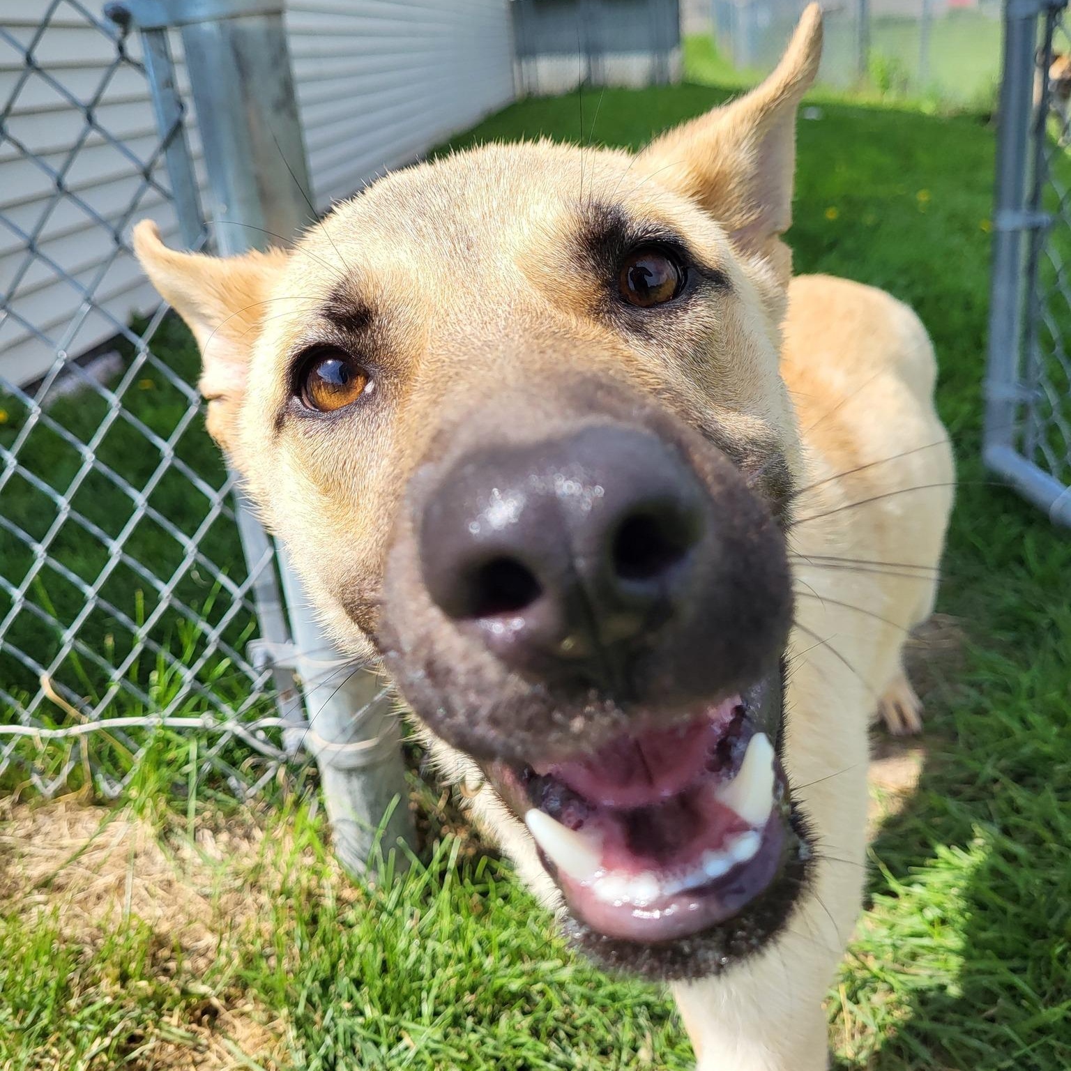 Tucker, Young Male unknown