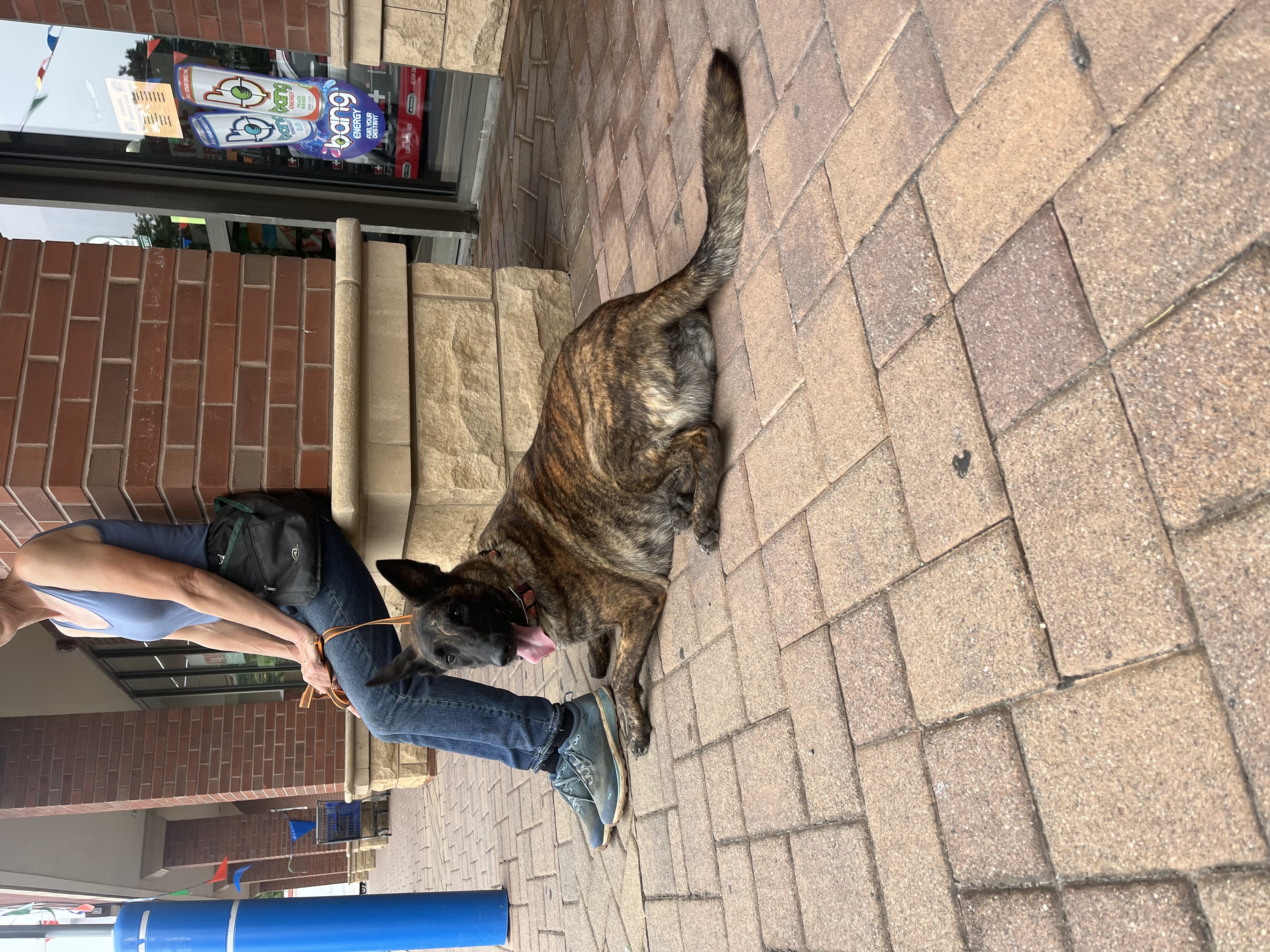 Maverick - Long Island