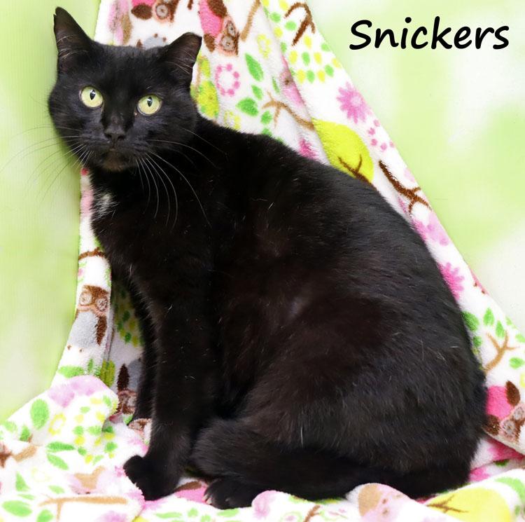 Snickers