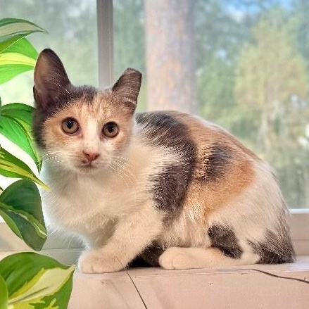 Mia Lopez thumbnail 2