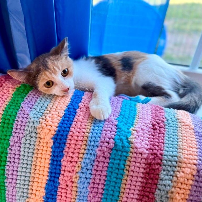 Mia Lopez thumbnail 6