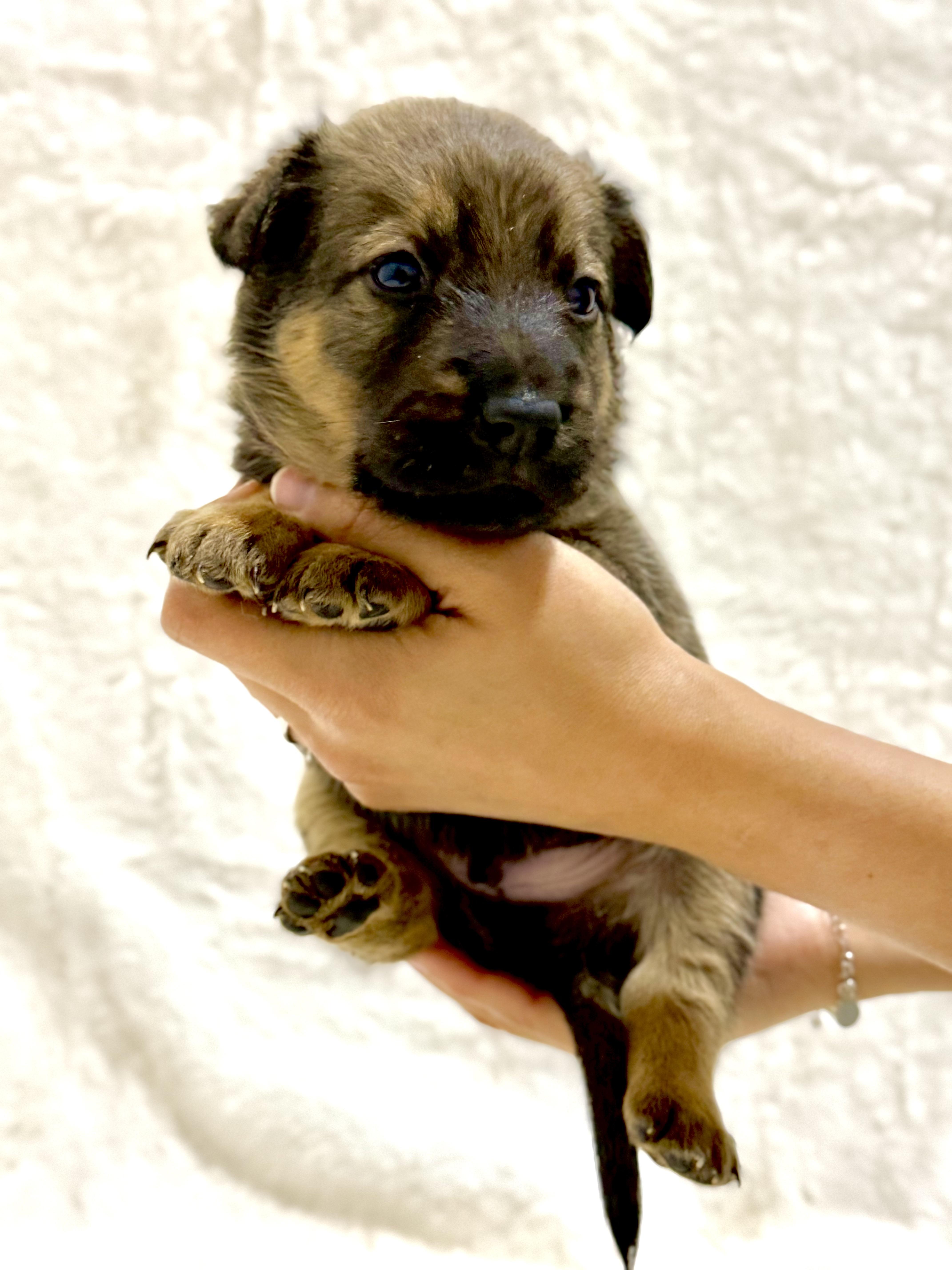 Nick — thumbnail 5