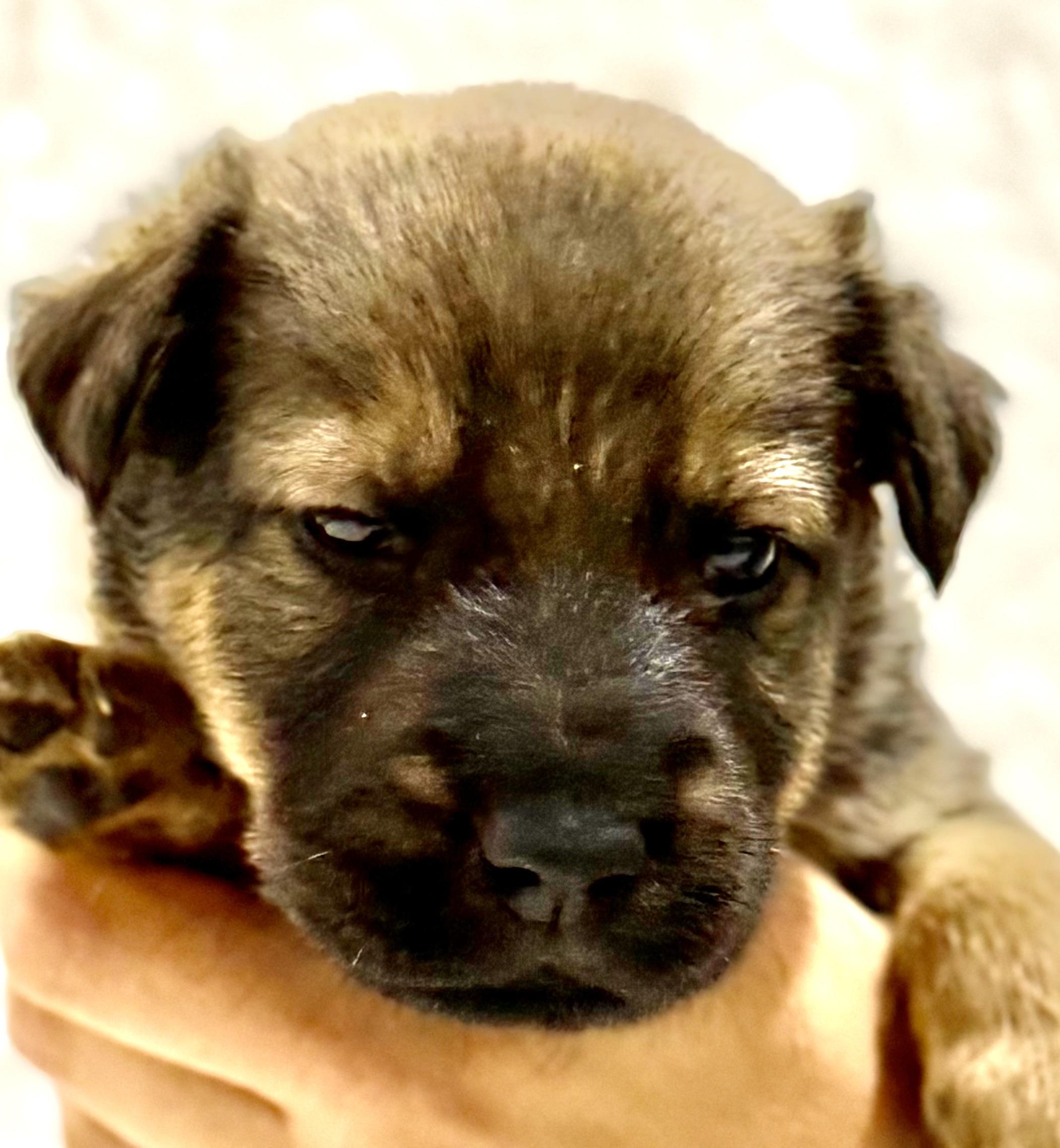 Nick — thumbnail 6