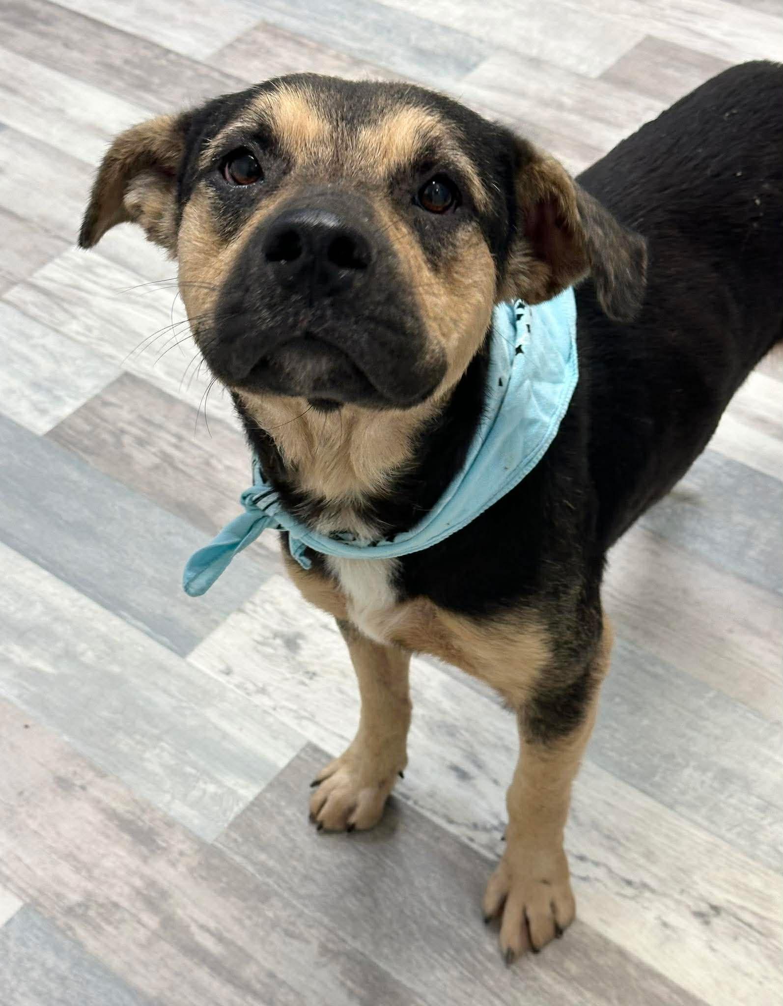 Marcus — thumbnail 3