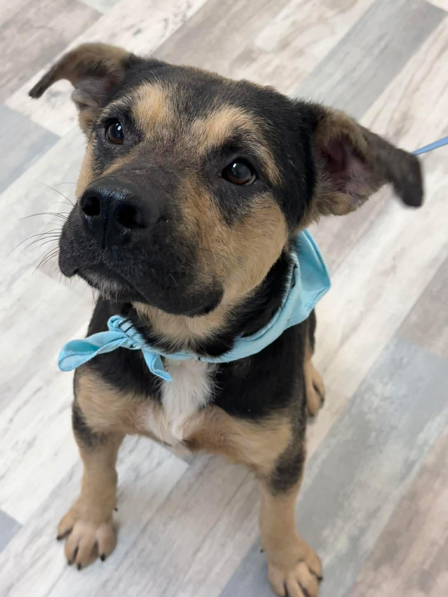 Marcus — thumbnail 4