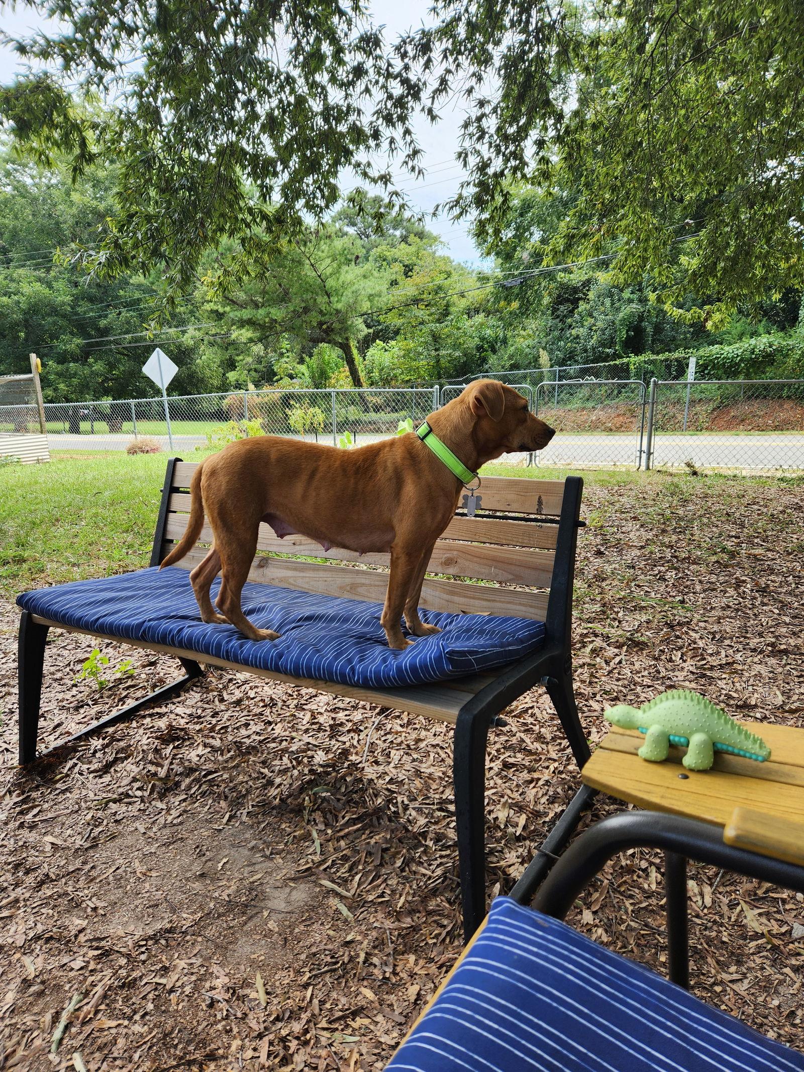 Tina — thumbnail 2