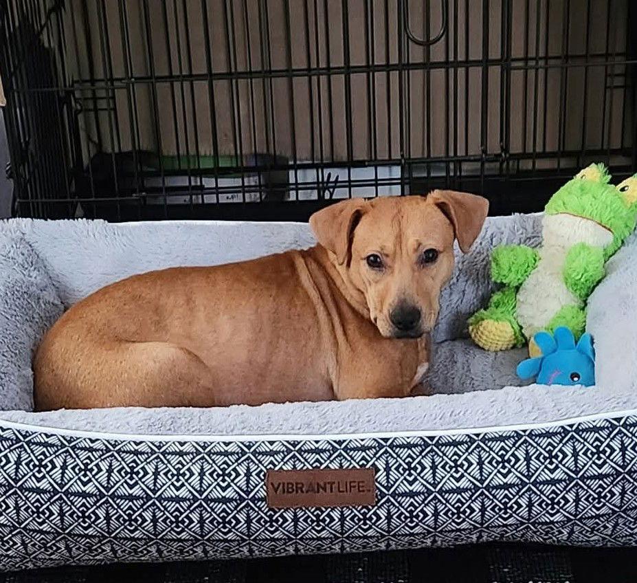 Tina — thumbnail 3