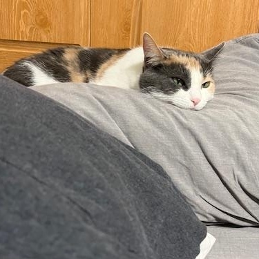 Millie