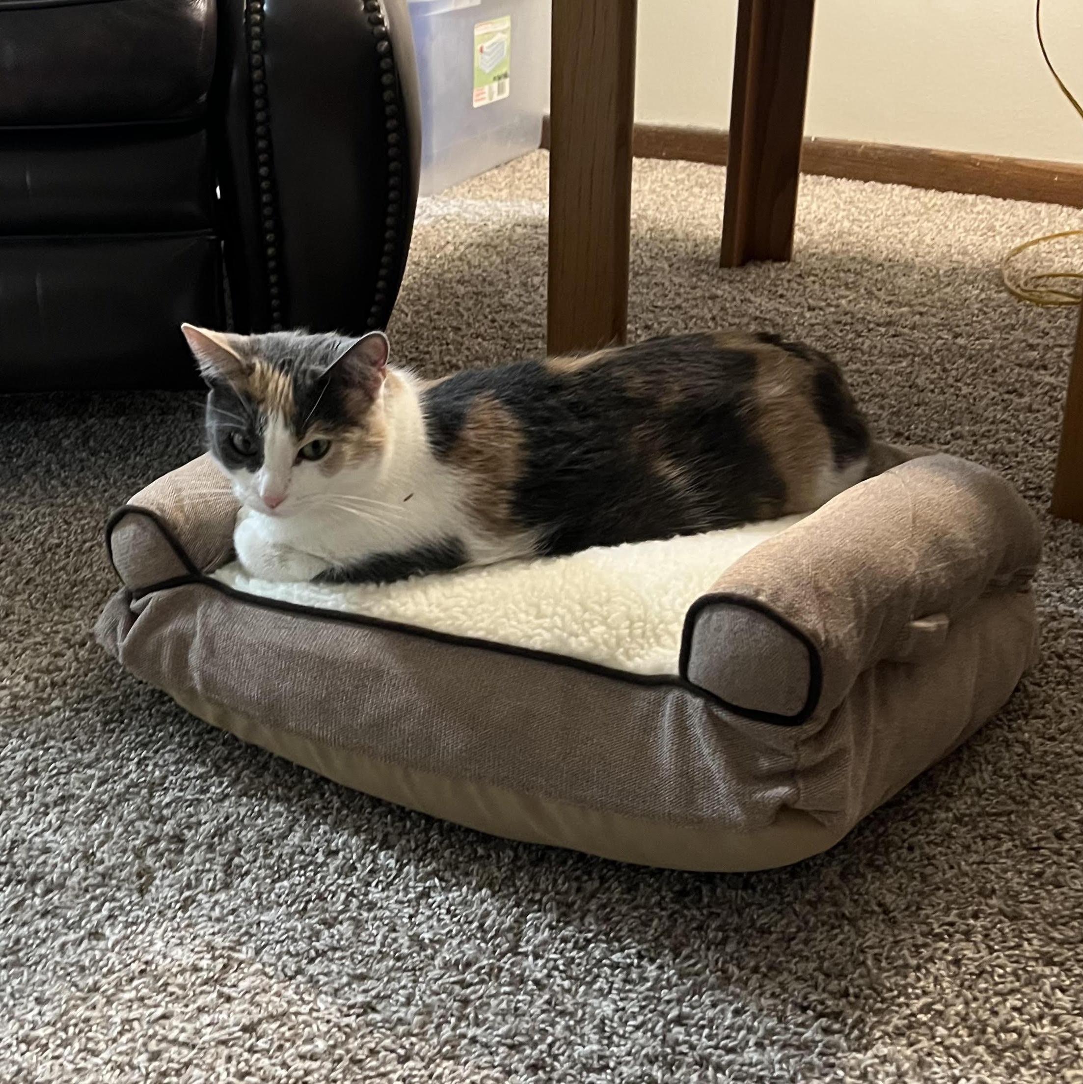 Millie