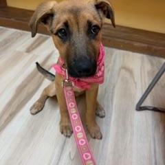 Aubrey — thumbnail 2