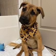 Aubrey — thumbnail 3