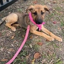 Aubrey — thumbnail 5