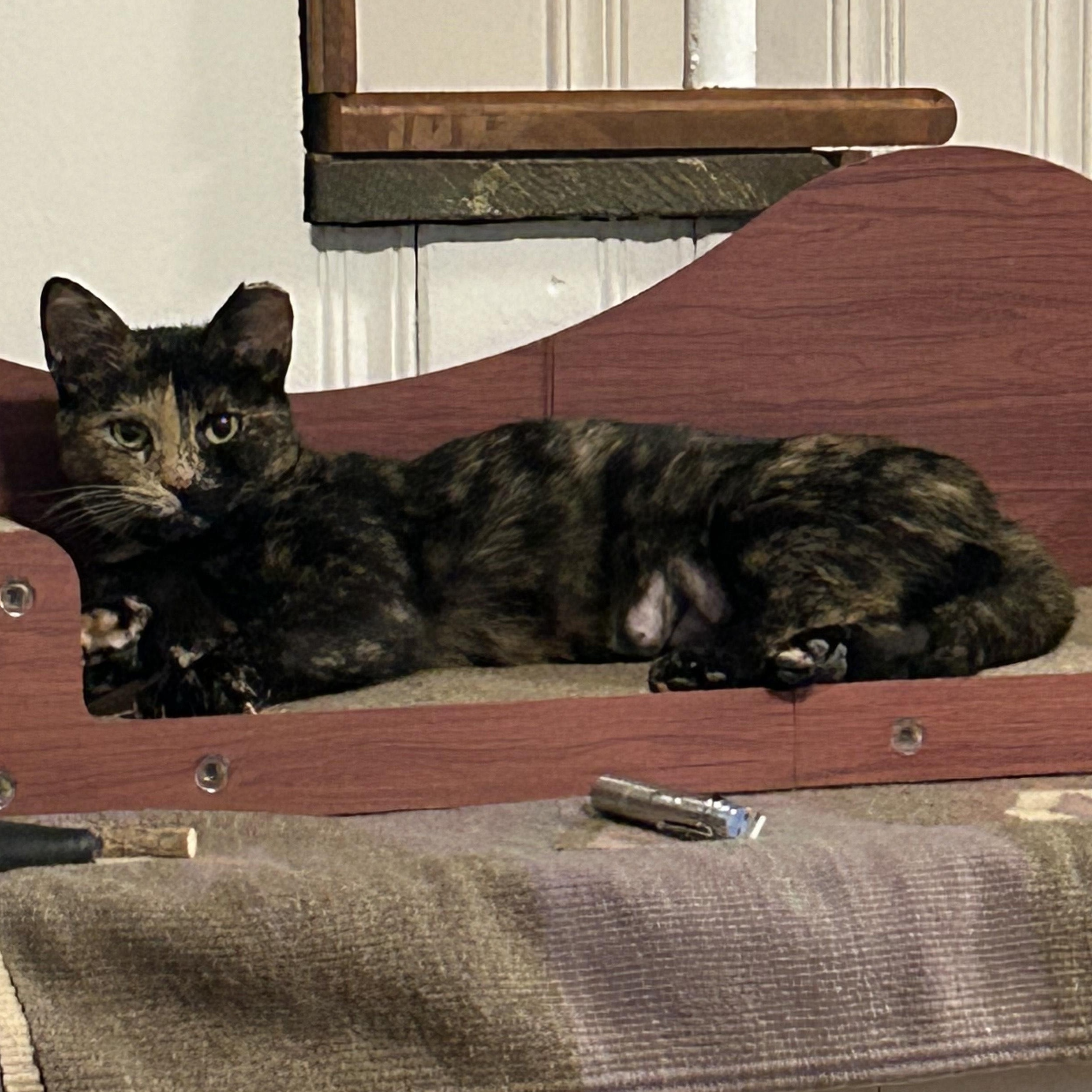 Emma Stone thumbnail 2