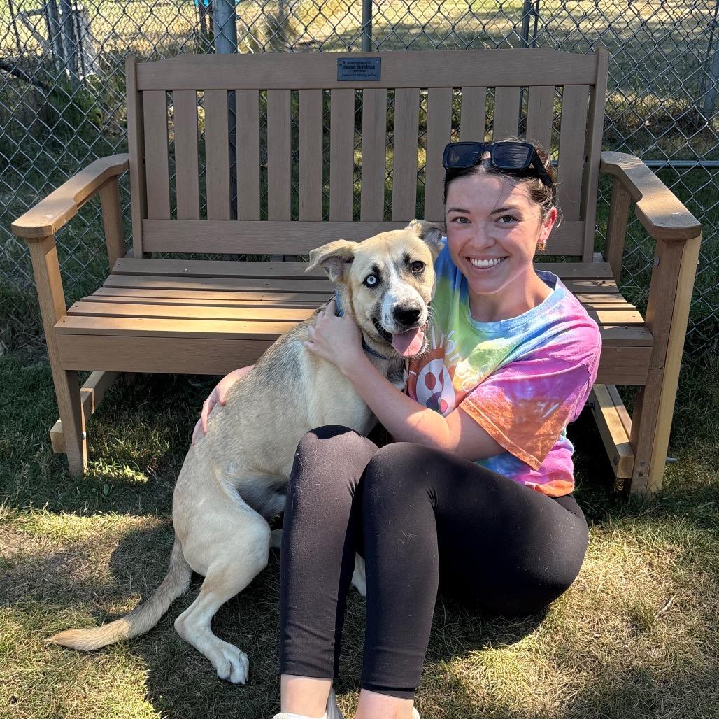 Chapple, a Adoptable Mixed Breed in Brookfield, WI image 5/6