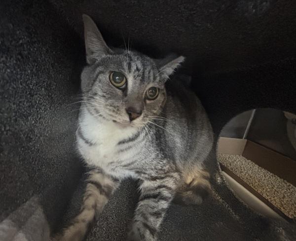 Deegan — thumbnail 2