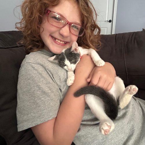 Enlarge Charlie, a Adoptable Domestic Short Hair in Verona, NJ image 3/5