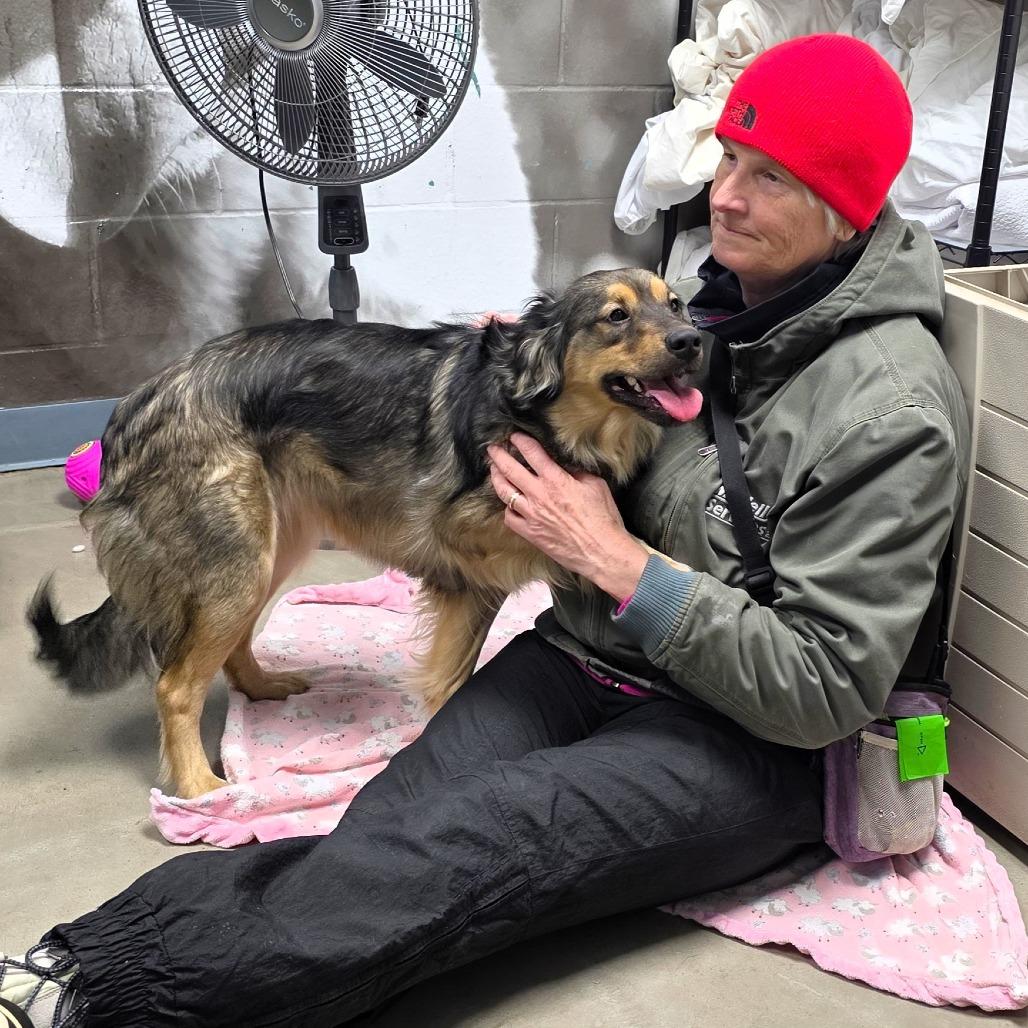 Ducky, a Adoptable mixed breed in Michigan City, IN image 2/6