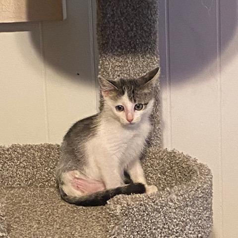 Finley BD — thumbnail 2