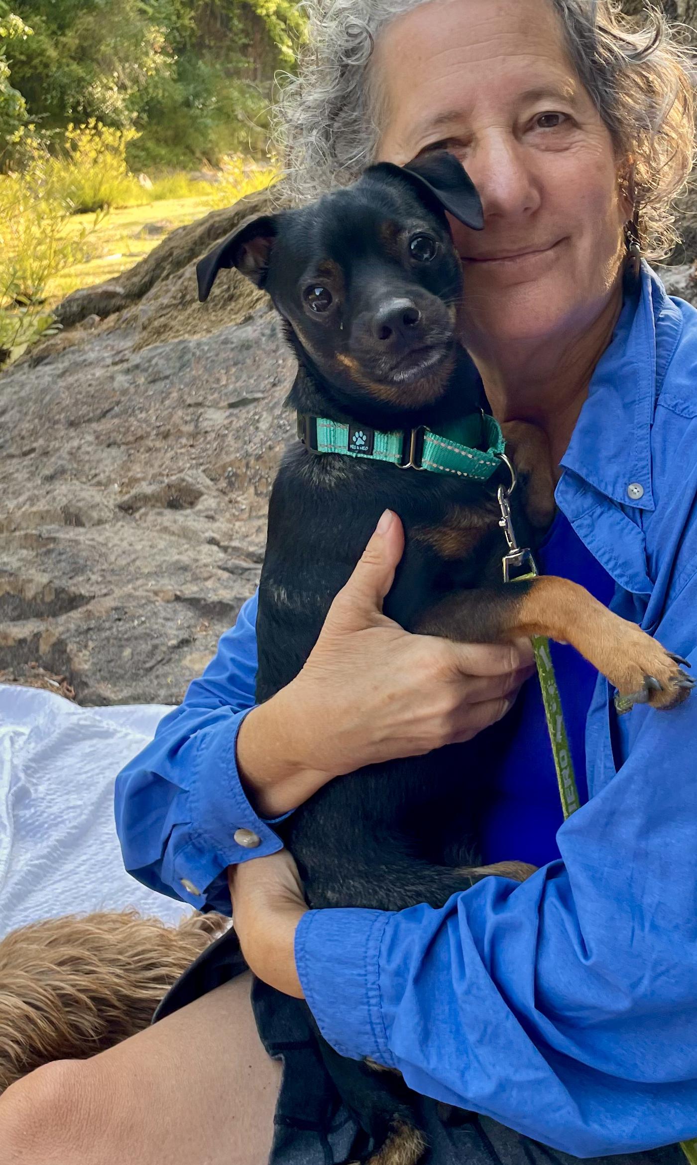Angel-Local, easygoing, snuggly, playful pup!, an adoptable Miniature Pinscher, Dachshund in Cascadia, OR, 97329 | Photo Image 4